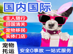 邯郸空运地址国际宠物托运 【国